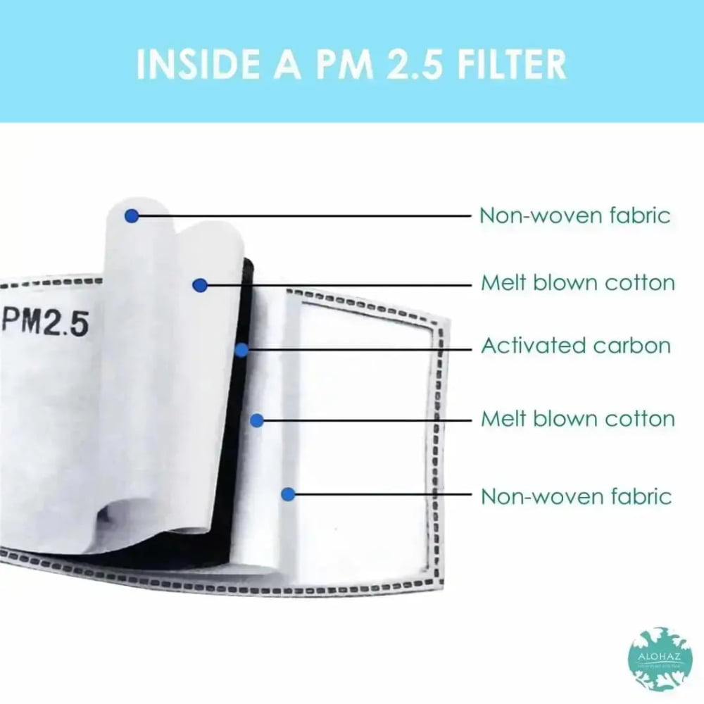 Pm 2.5 filter ~ activated carbon ~ set of 2
