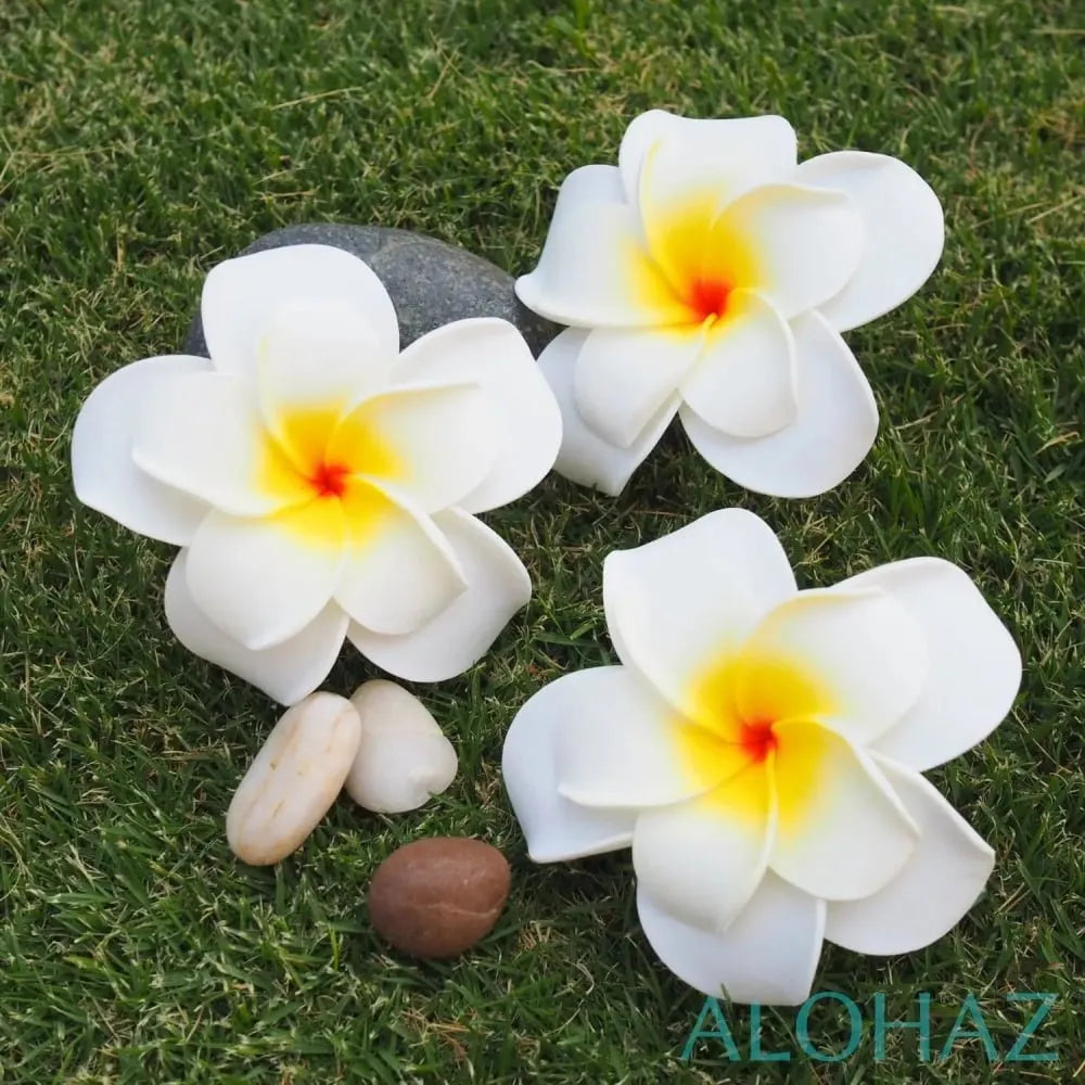 White Double Plumeria Hawaiian Flower Hair Clip - Alohaz