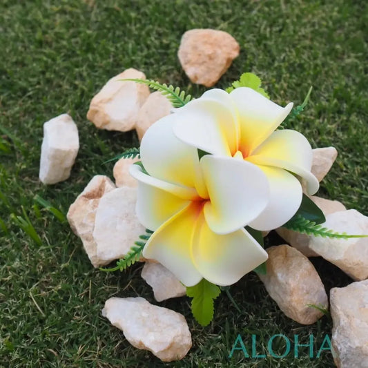 Yellow plumeria double joy hawaiian flower hair clip
