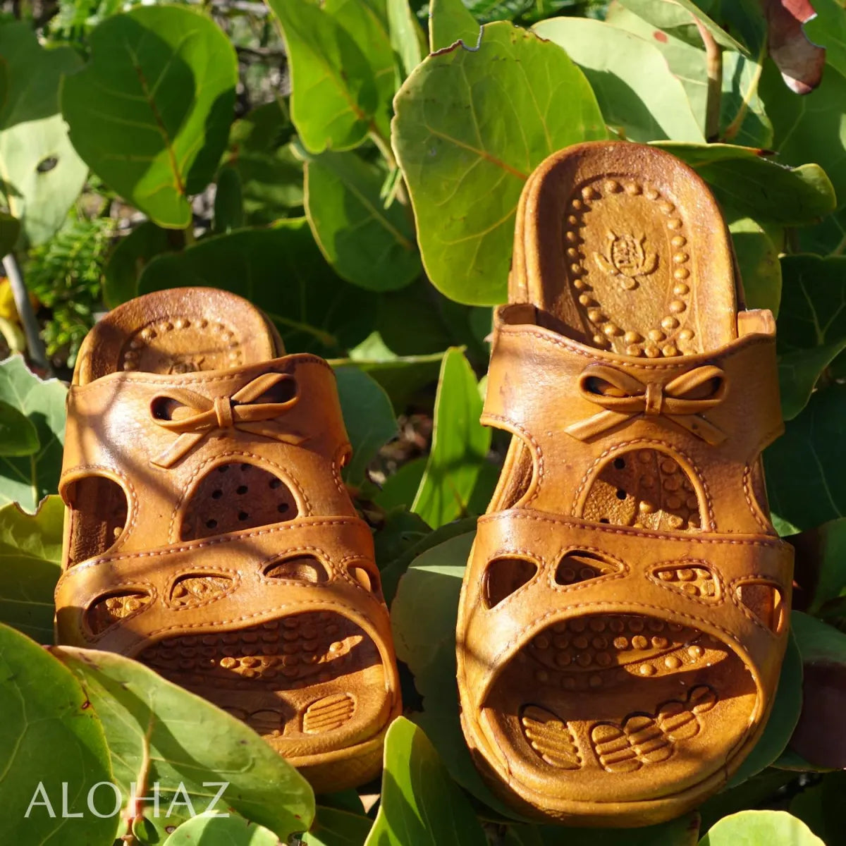 Golden brown bow™ - pali hawaii sandals