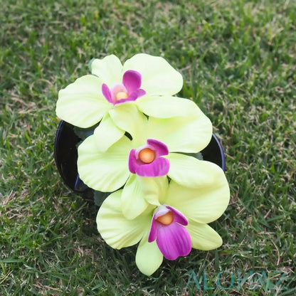 Green happy orchid flower hair clamp - alohaz