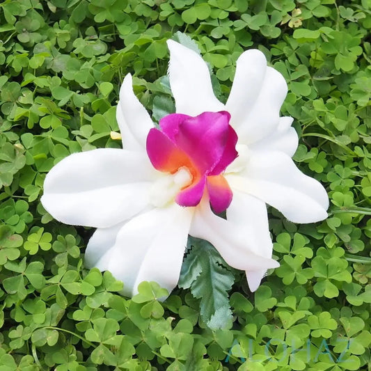 Kahalu’u cream hawaiian flower hair clip - alohaz