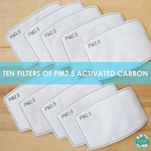 Pm 2.5 filter ~ activated carbon