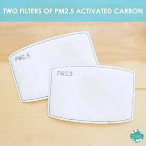 Pm 2.5 filter ~ activated carbon set of 2