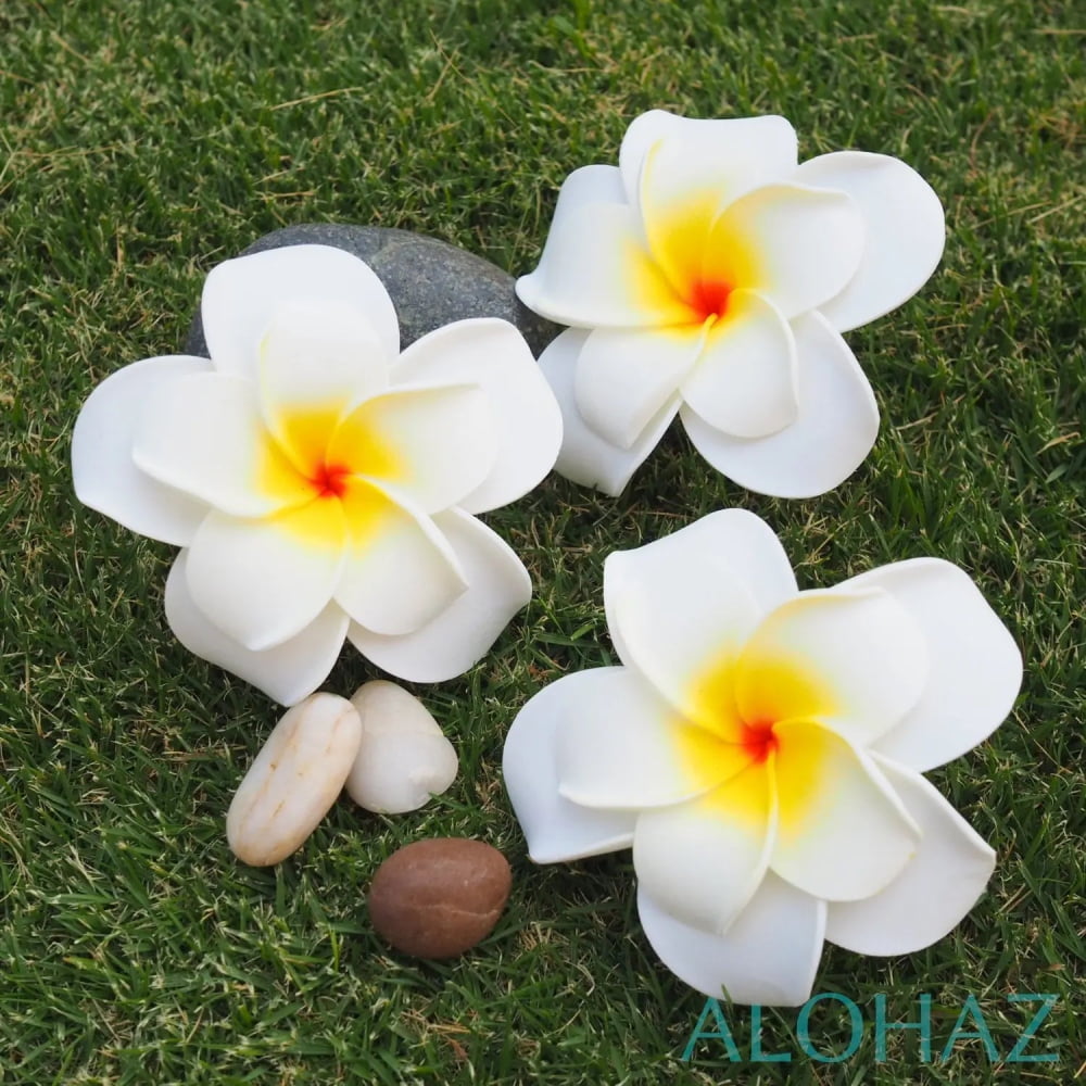 White double plumeria hawaiian flower hair clip | passion aloha